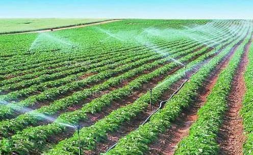 国外老骚农田高 效节水灌溉